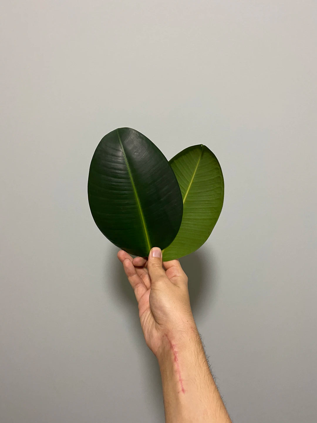 Eco-Friendly Practices in the Vaping Industry