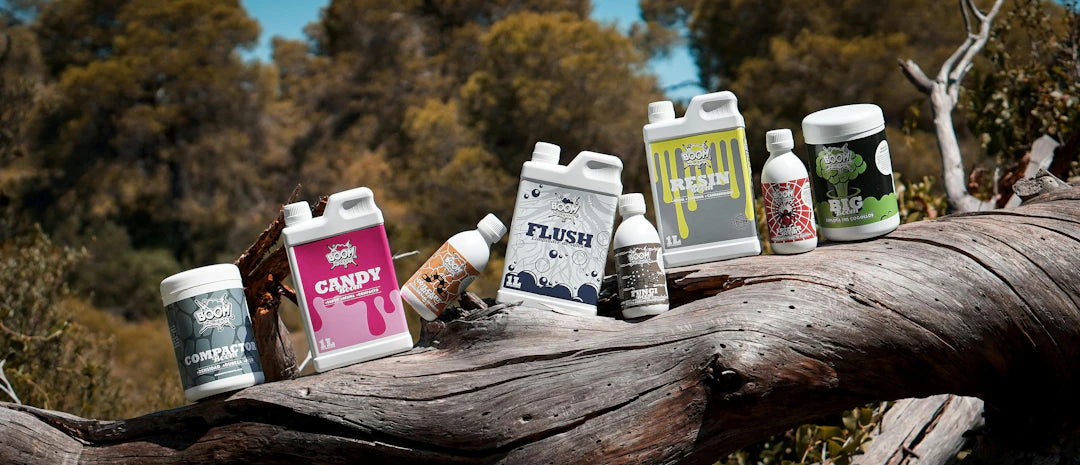 Flavorful E-Liquids Tailored for Every Vaping Enthusiast